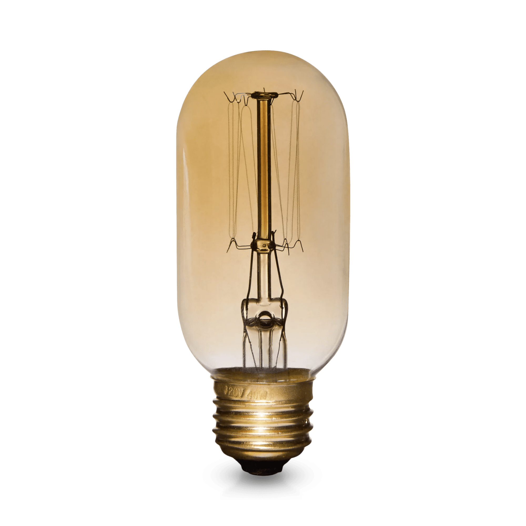Vintage Edison Tubular Light Bulb