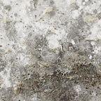 Oil Painted Embellished Tree Canvas