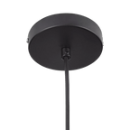 Metal and Wood Ceiling Lamp