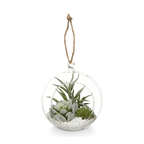 Hanging Terrarium with Artificial Succulent