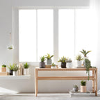 Hanging Terrarium with Artificial Succulent