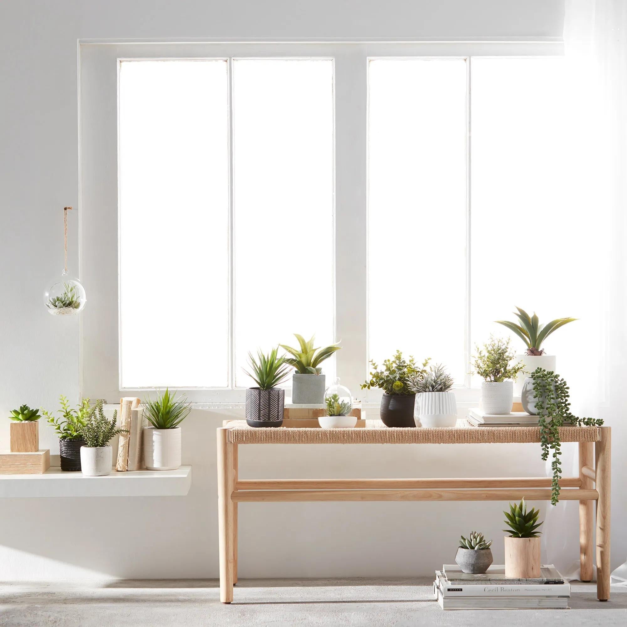 Hanging Terrarium with Artificial Succulent