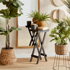 Large Ficus in Rattan Pot