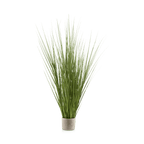 Tall Grass in Cement Pot