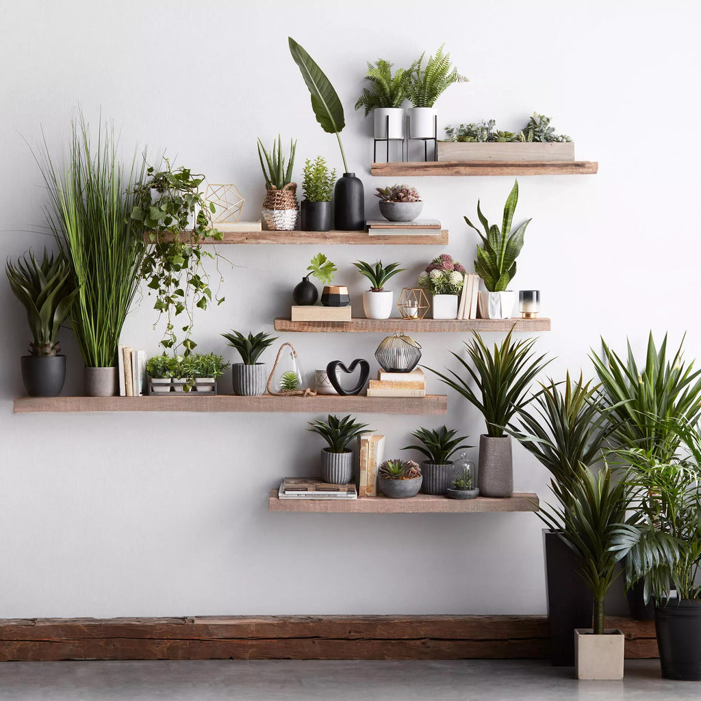 Tall Grass in Cement Pot