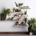 Tall Grass in Cement Pot