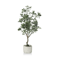 Large Artificial Aralia Tree