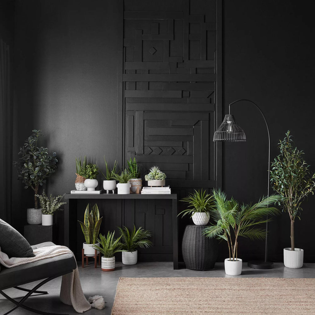 Large Artificial Aralia Tree