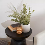 Eucalyptus in Ceramic Pot