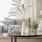 Eucalyptus in Ceramic Pot