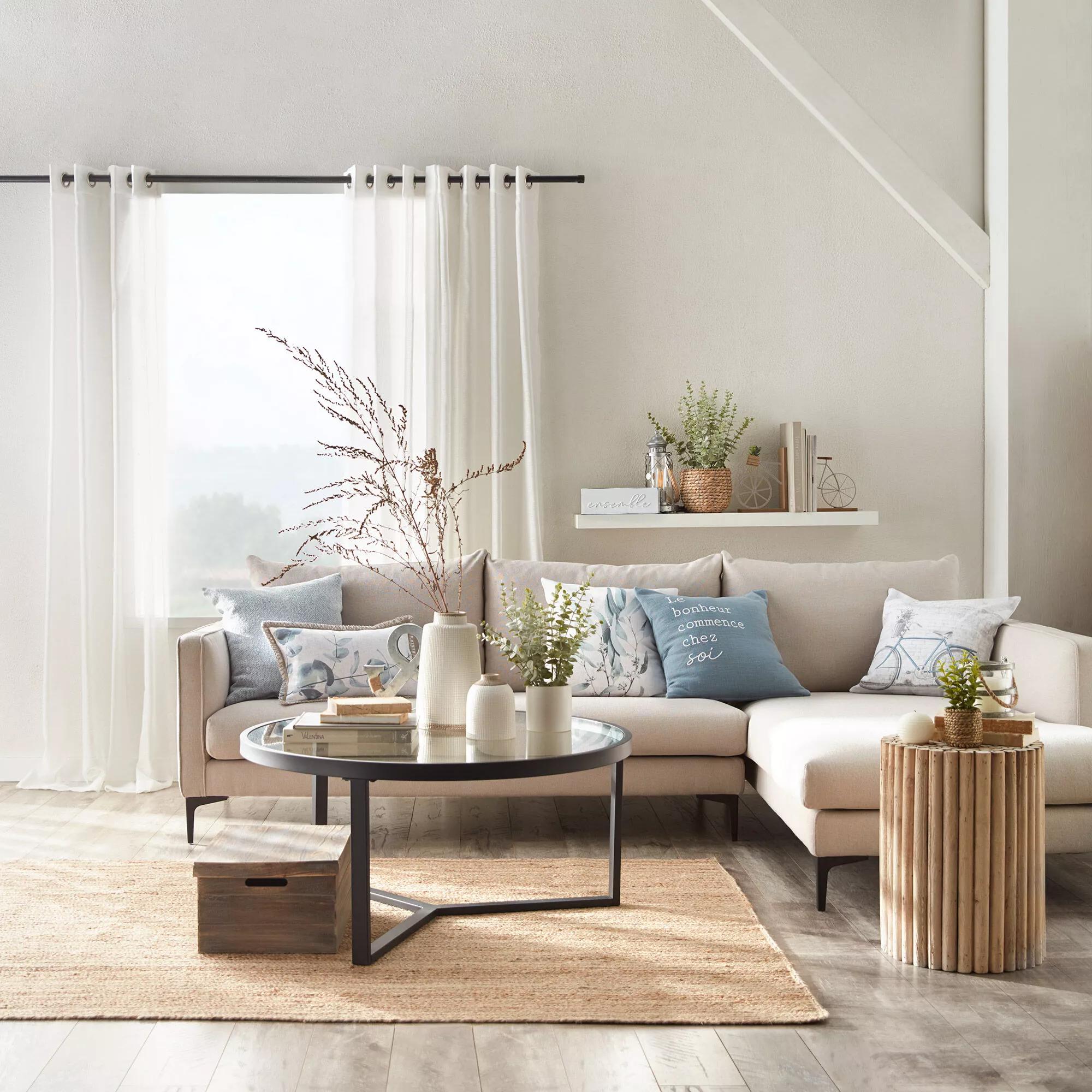 Eucalyptus in Ceramic Pot