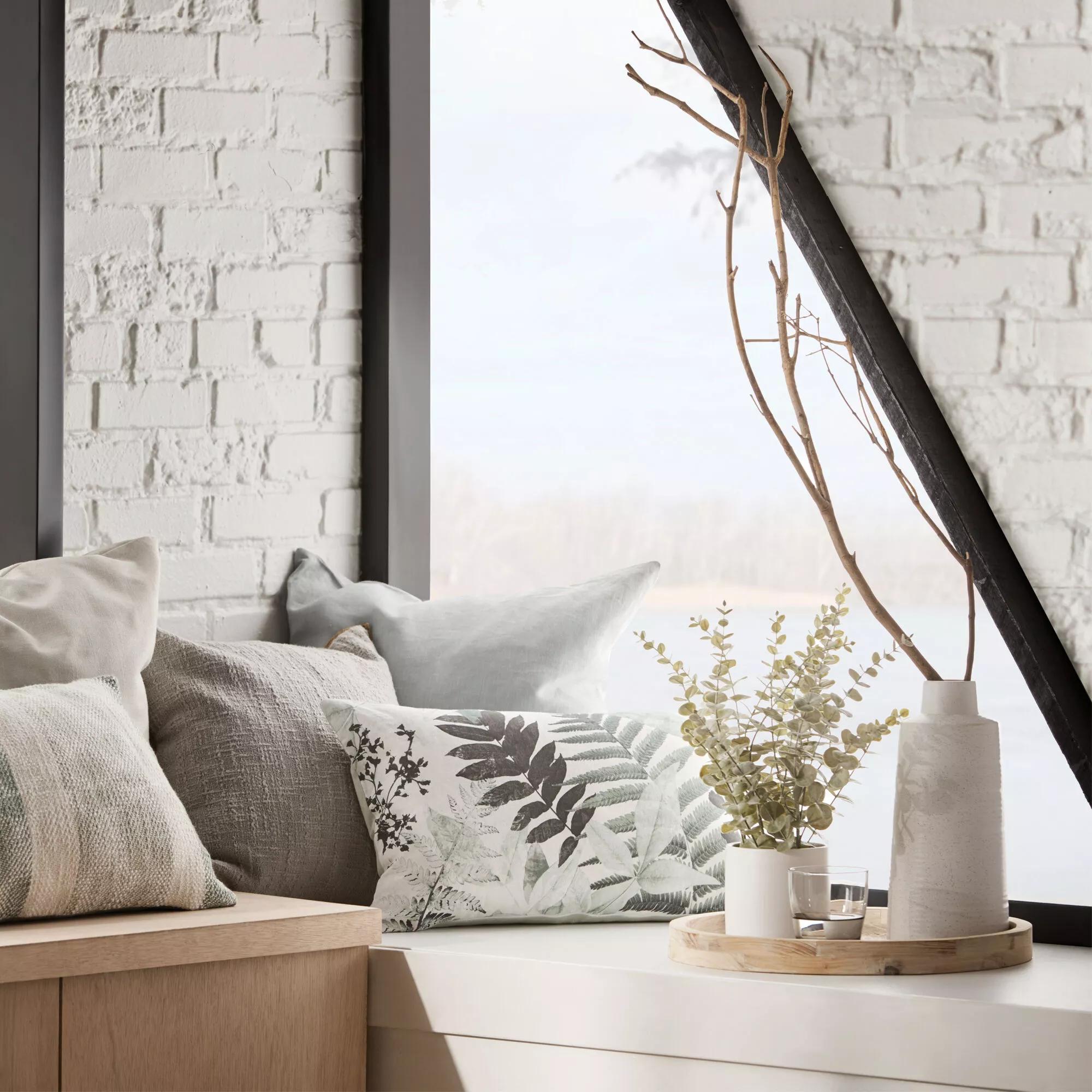 Eucalyptus in Ceramic Pot