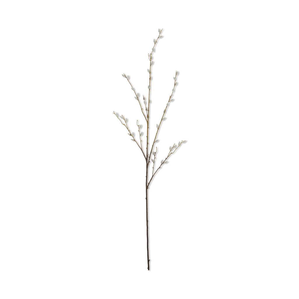 Pussy Willow Stem