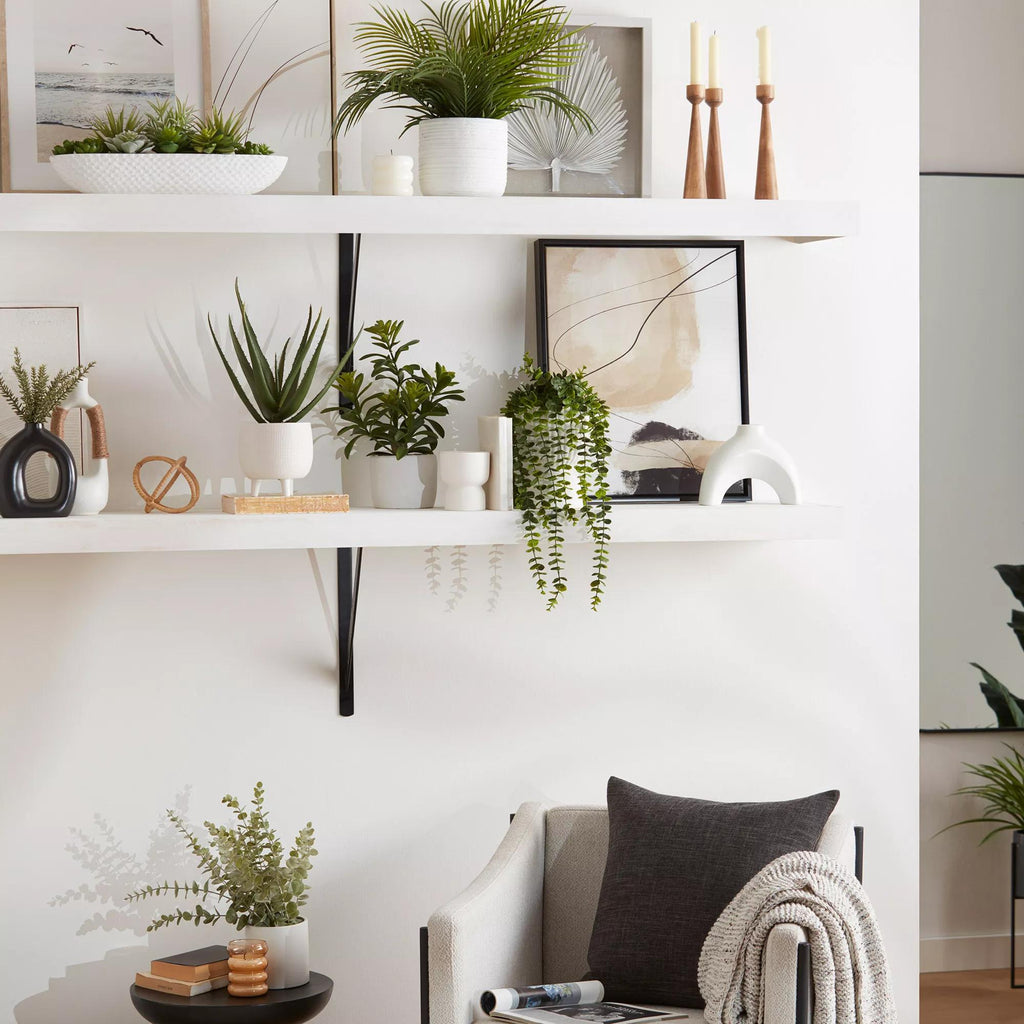 Succulents in Cement Tray