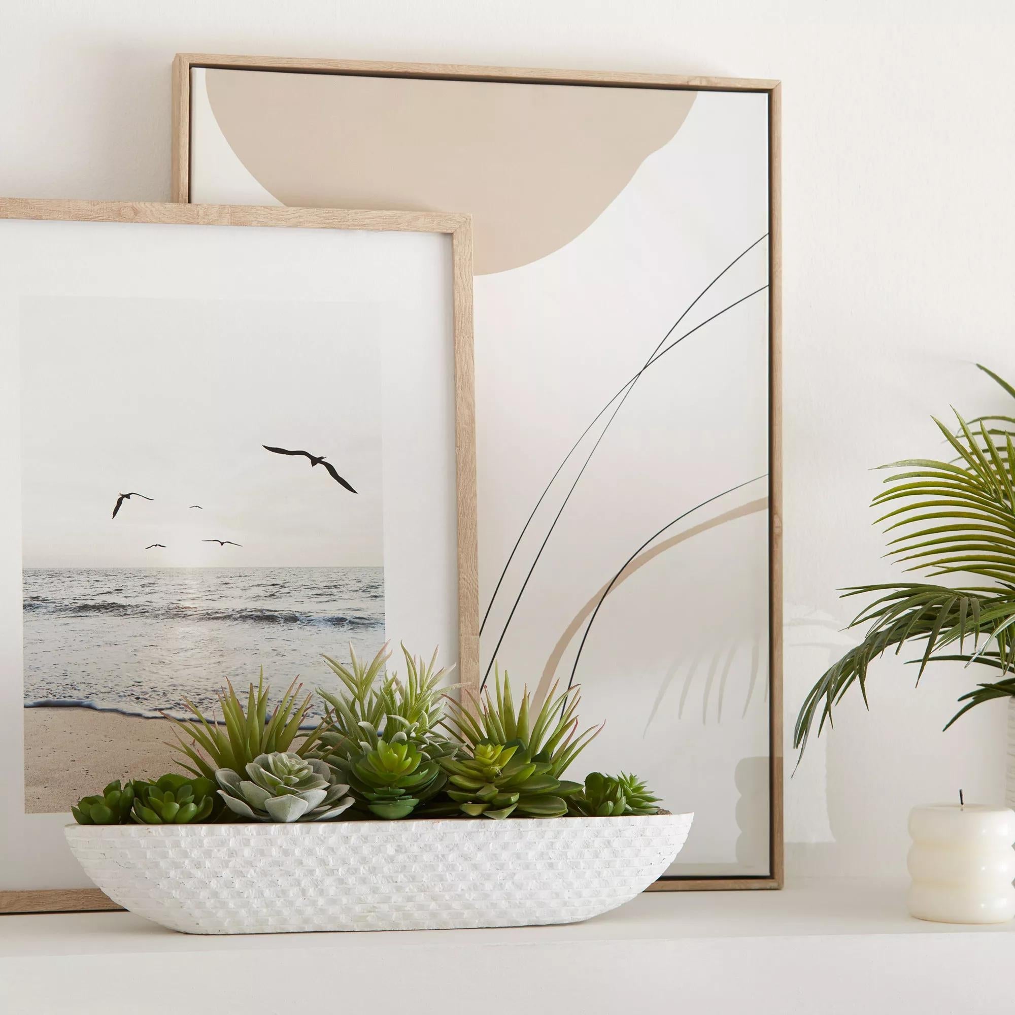 Succulents in Cement Tray