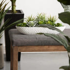 Succulents in Cement Tray