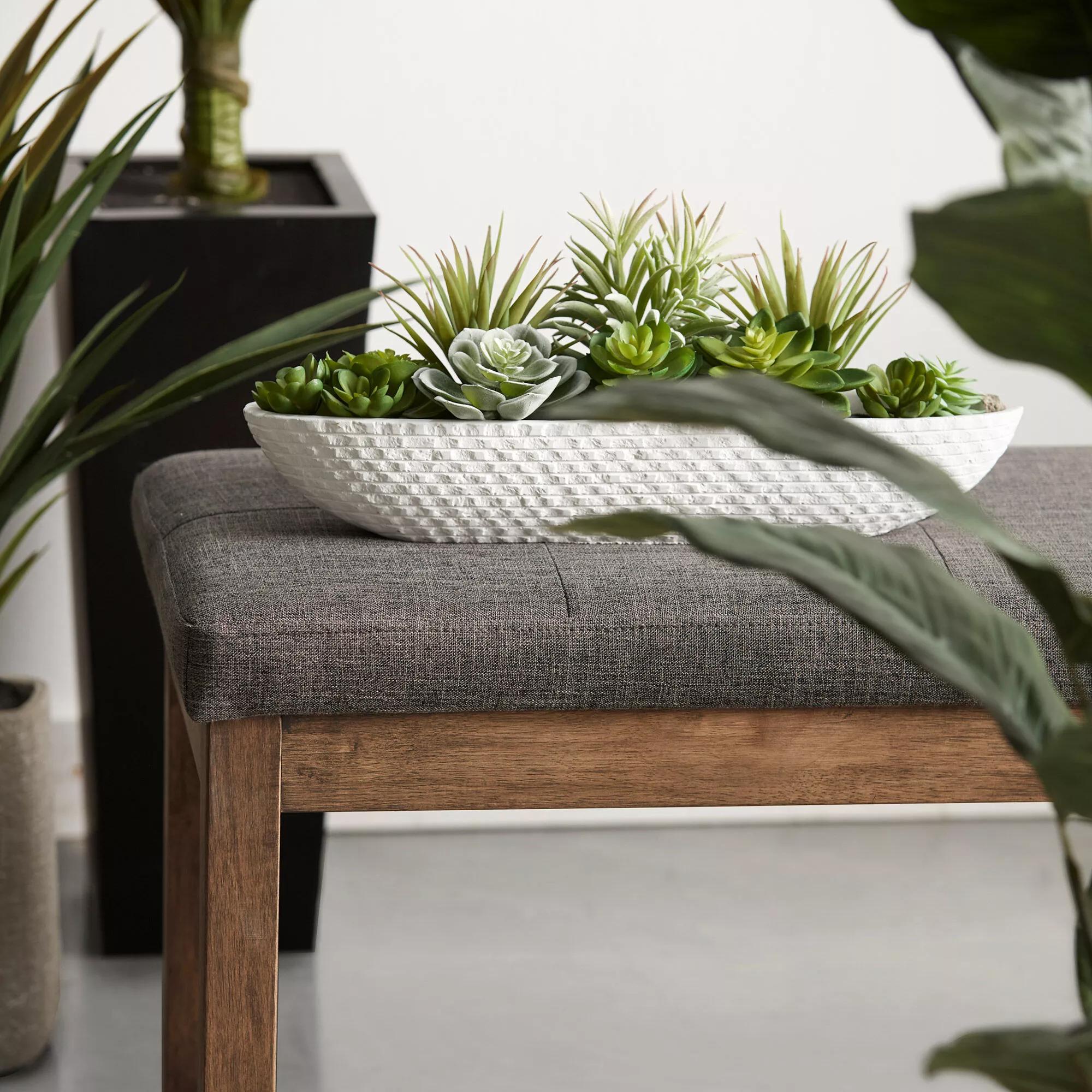 Succulents in Cement Tray