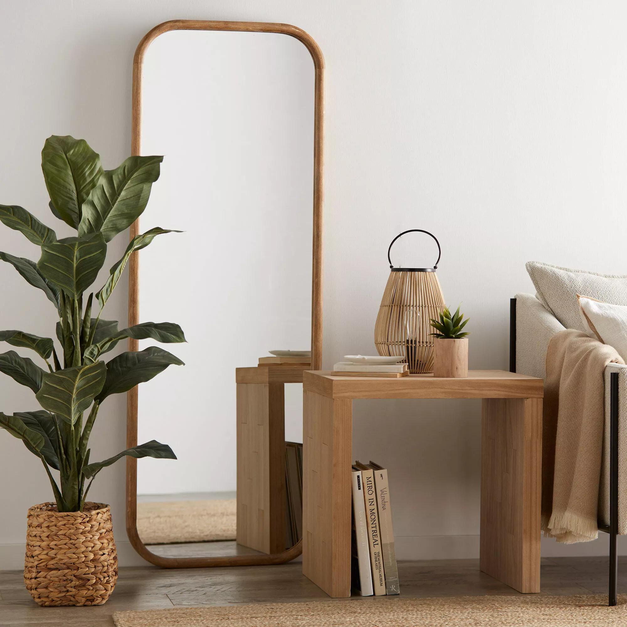 Large Ficus in Rattan Pot