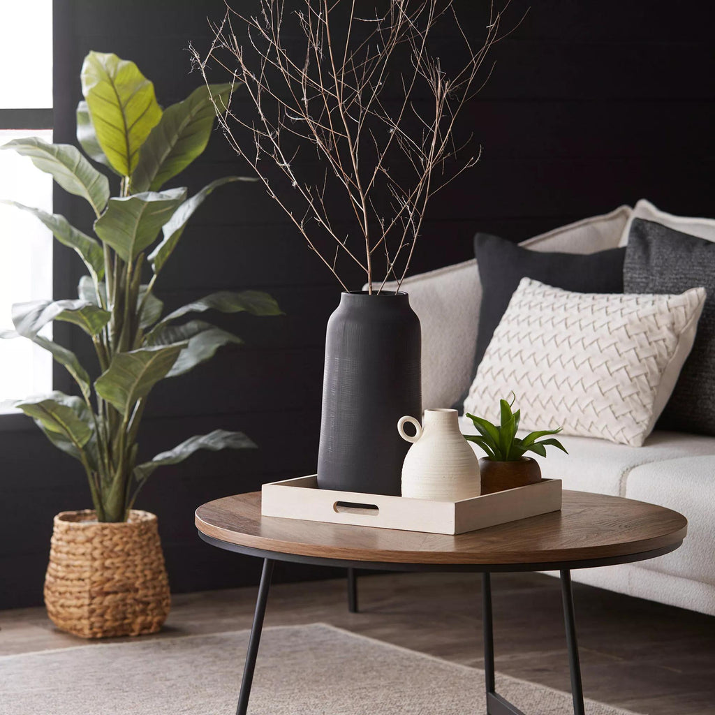 Large Ficus in Rattan Pot