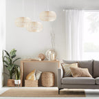 Large Ficus in Rattan Pot