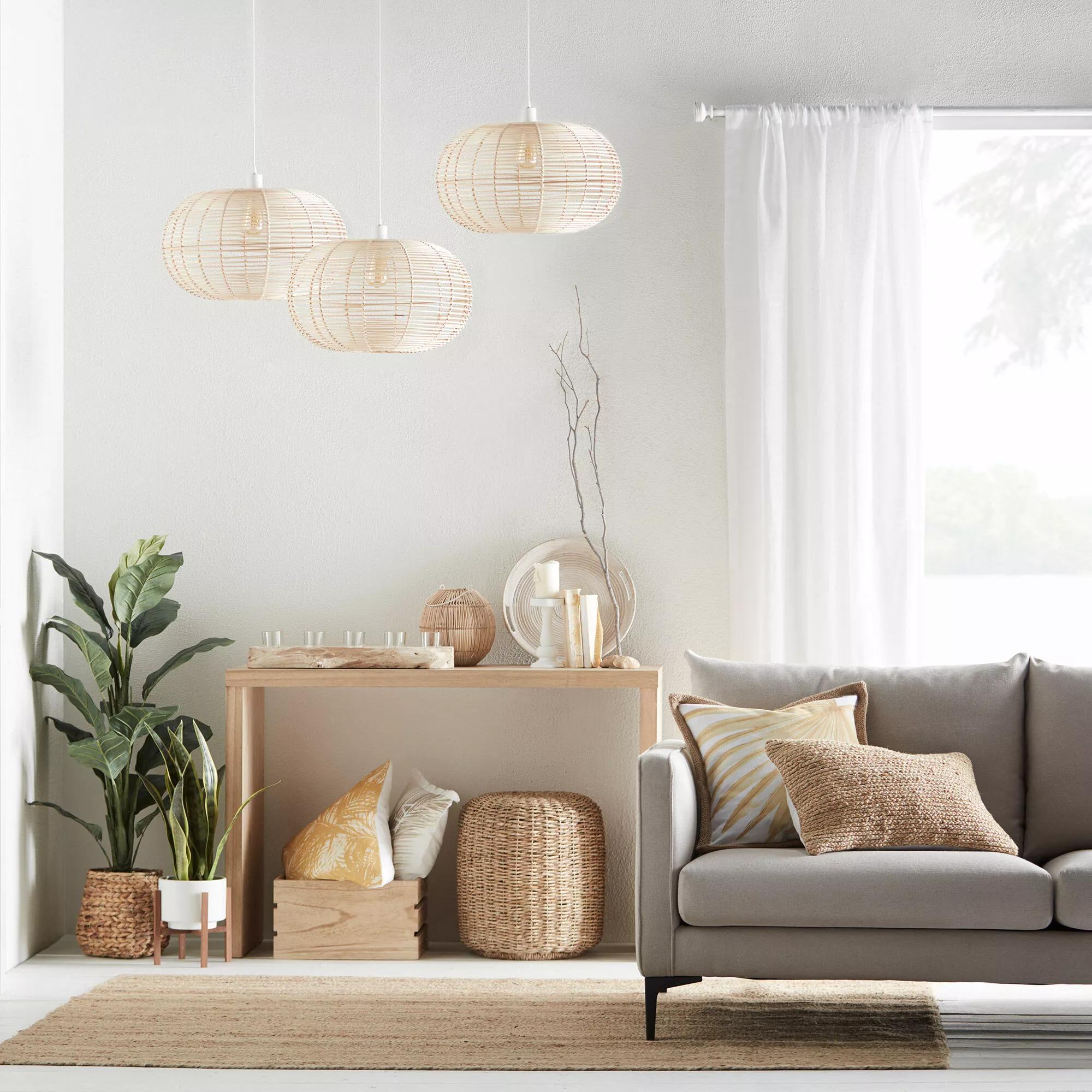 Large Ficus in Rattan Pot