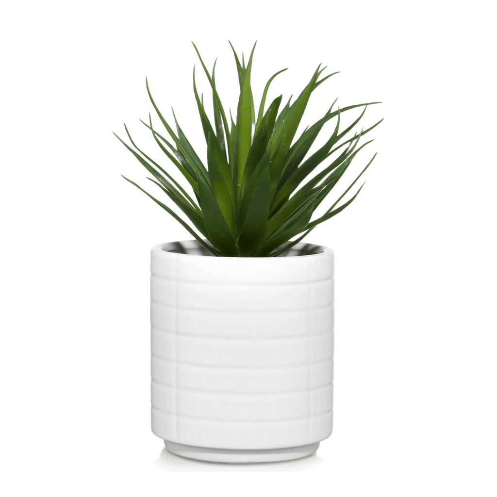 Ceramic Potted Tropical Plant