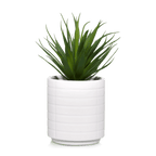 Ceramic Potted Tropical Plant