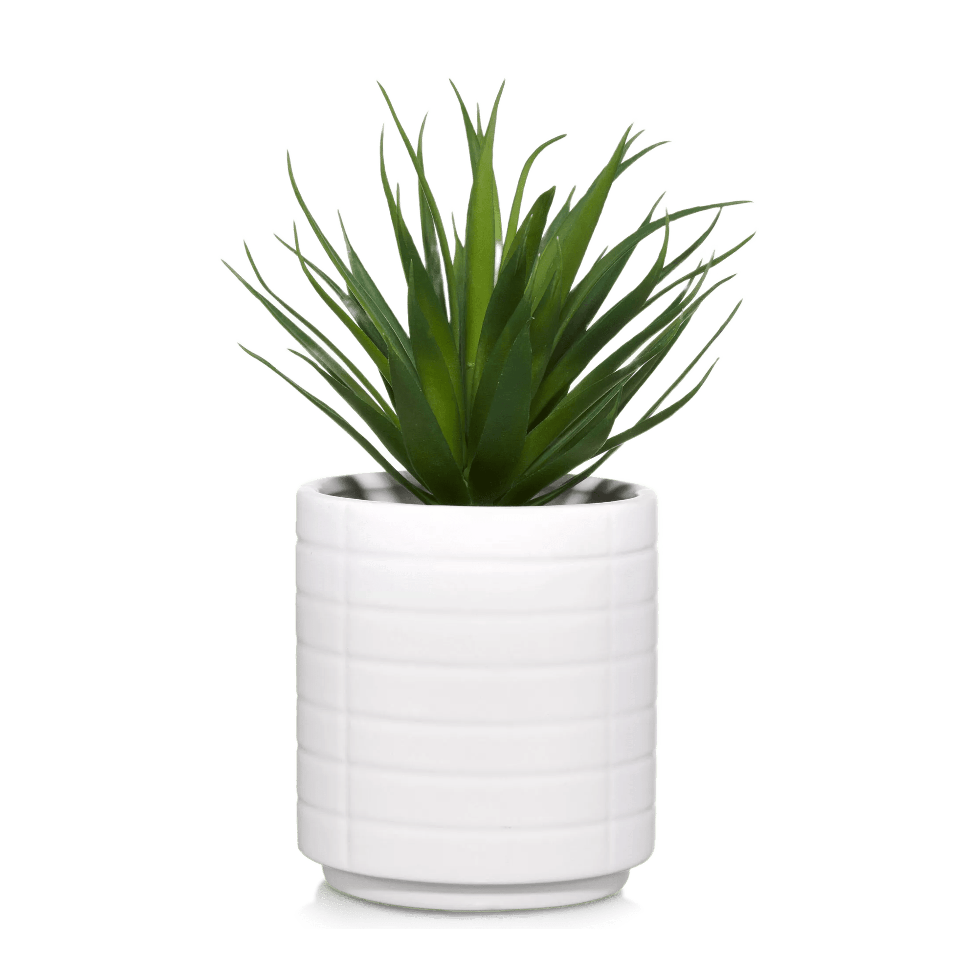 Ceramic Potted Tropical Plant