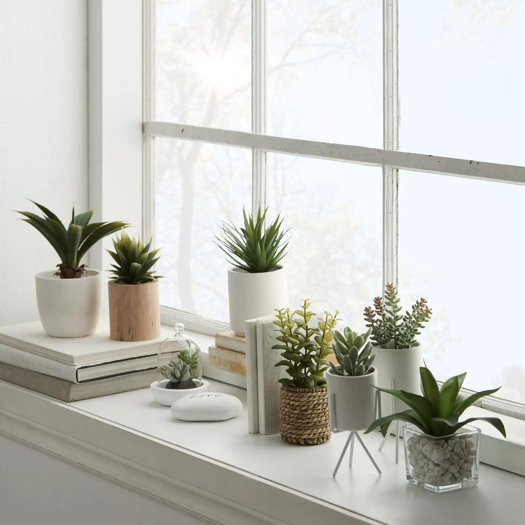 Ceramic Potted Tropical Plant