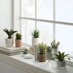 Ceramic Potted Tropical Plant