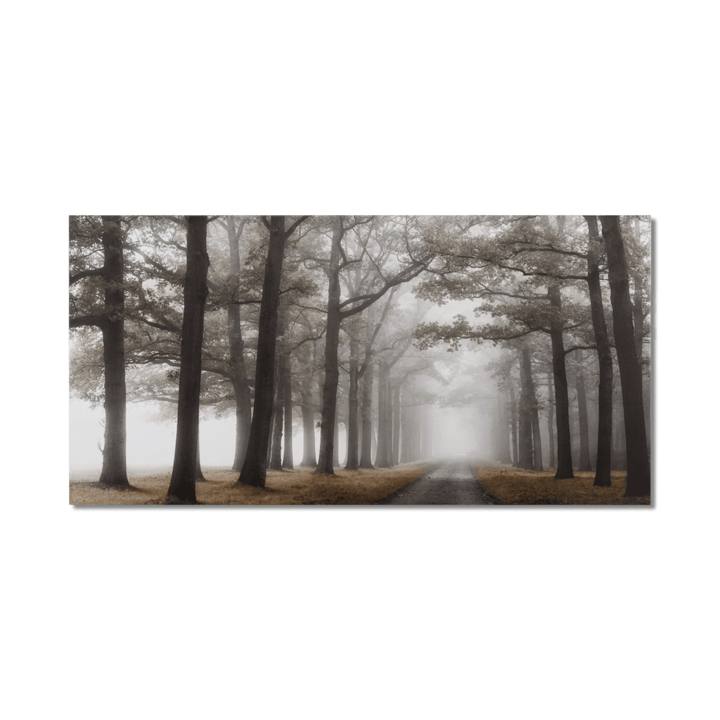 Mystical Pathway Printed Canvas