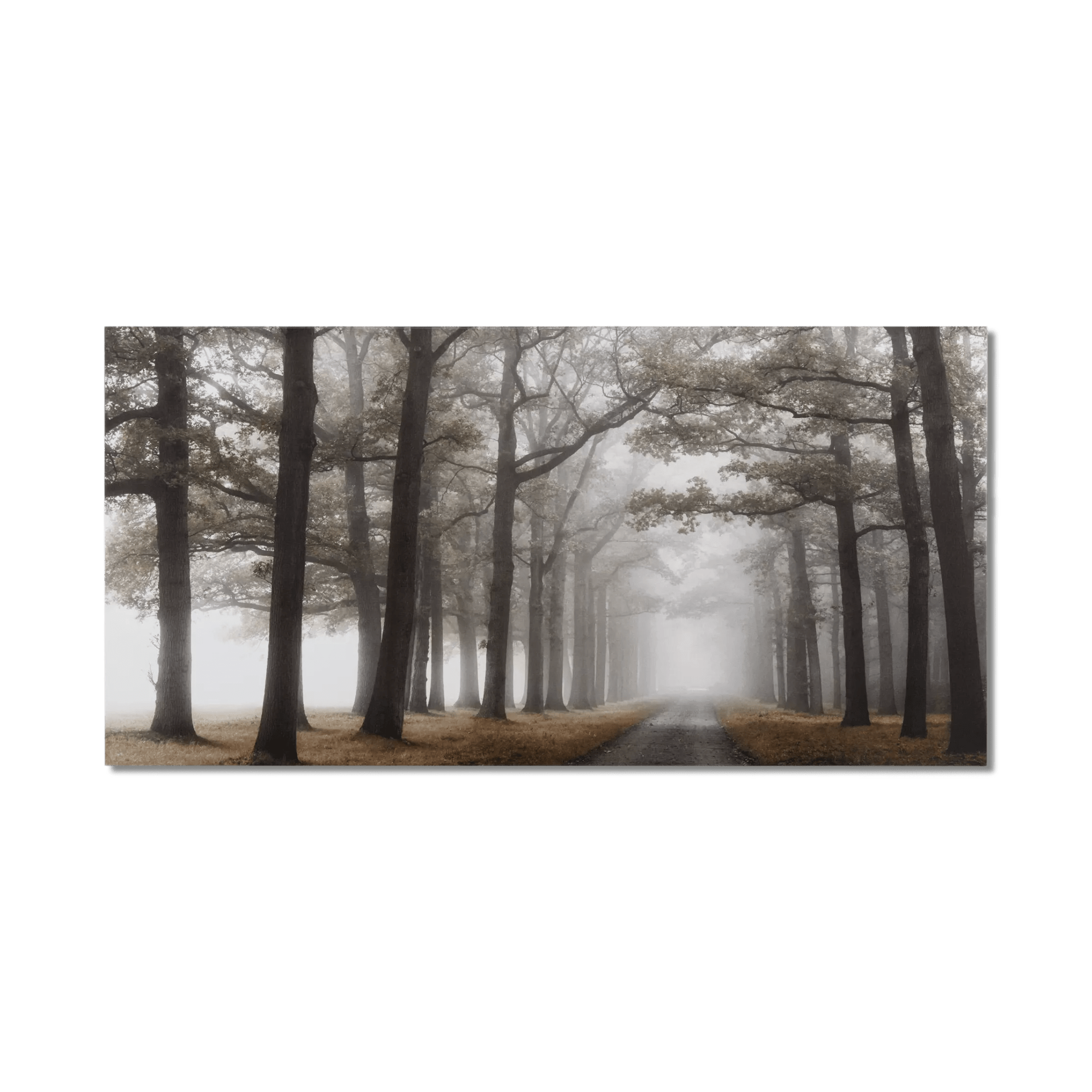 Mystical Pathway Printed Canvas