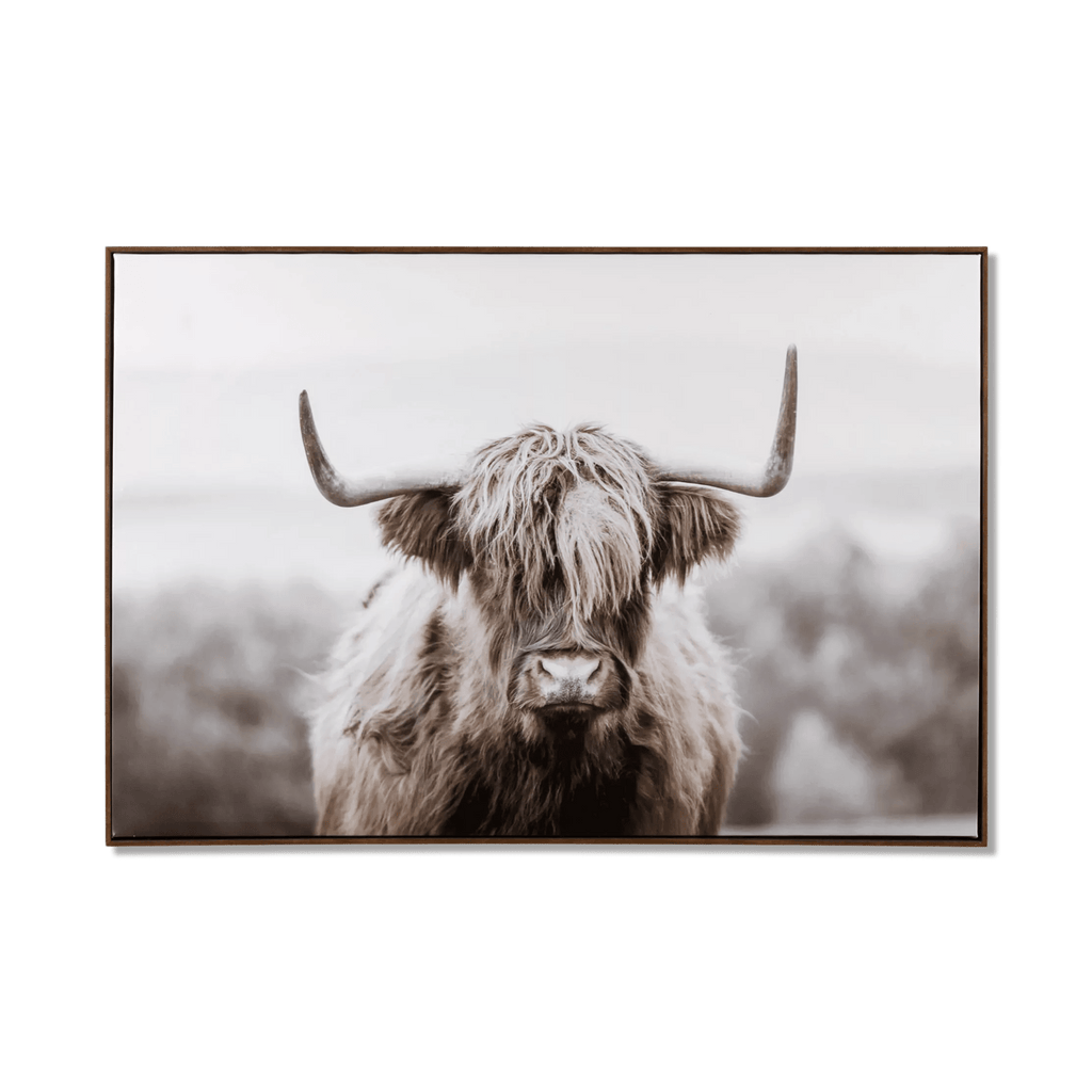 Furry Highland Cow Framed Art