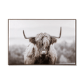 Furry Highland Cow Framed Art