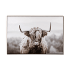 Furry Highland Cow Framed Art