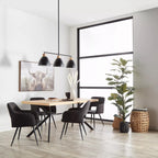 Furry Highland Cow Framed Art