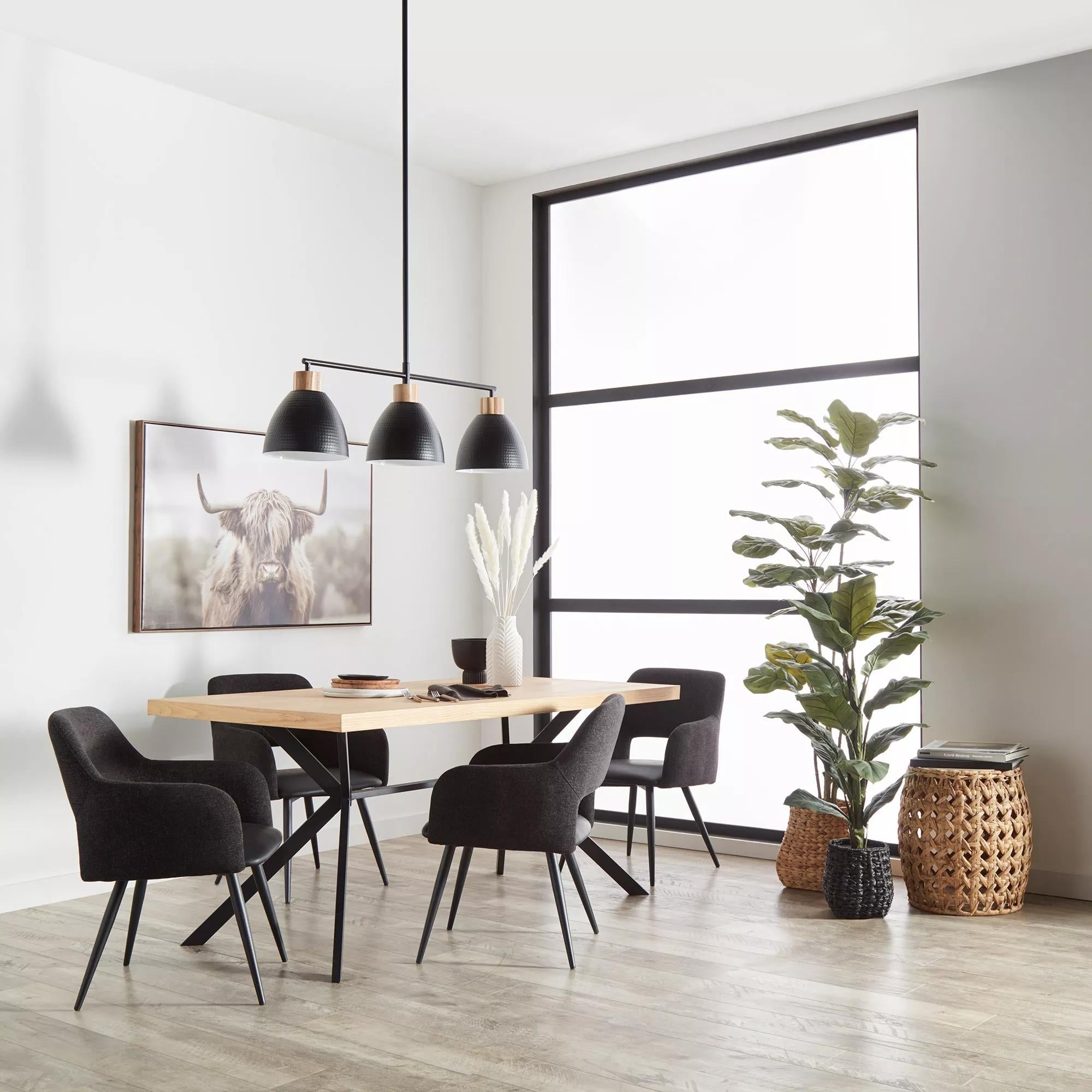 Furry Highland Cow Framed Art