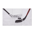 Set of 3 Hockey Printed Canvases