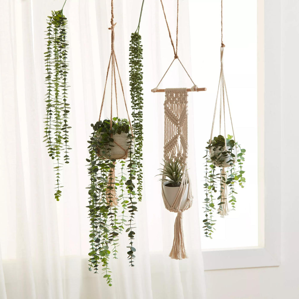 Hanging Eucalyptus