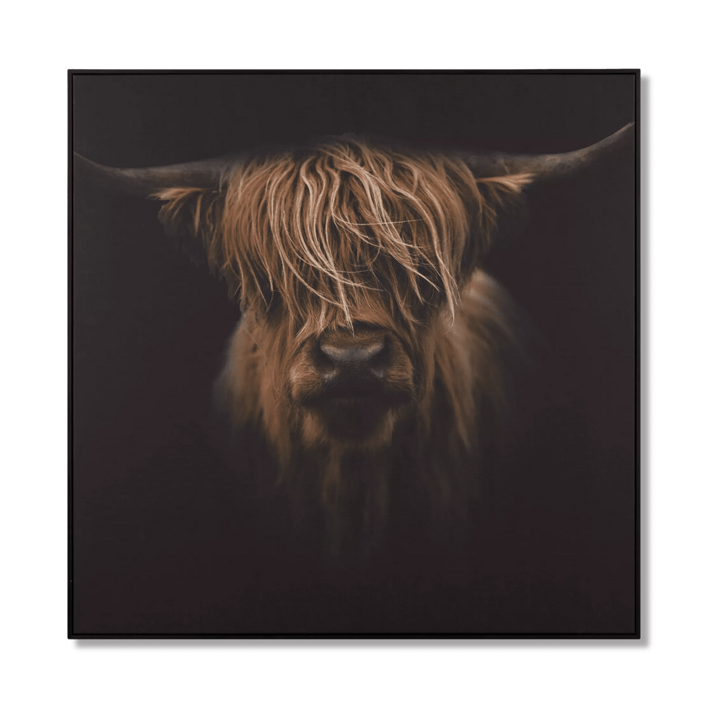 Scottish Highland Cattle Framed Printed Canvas