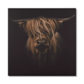 Scottish Highland Cattle Framed Printed Canvas