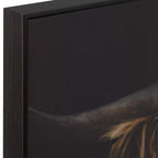 Scottish Highland Cattle Framed Printed Canvas