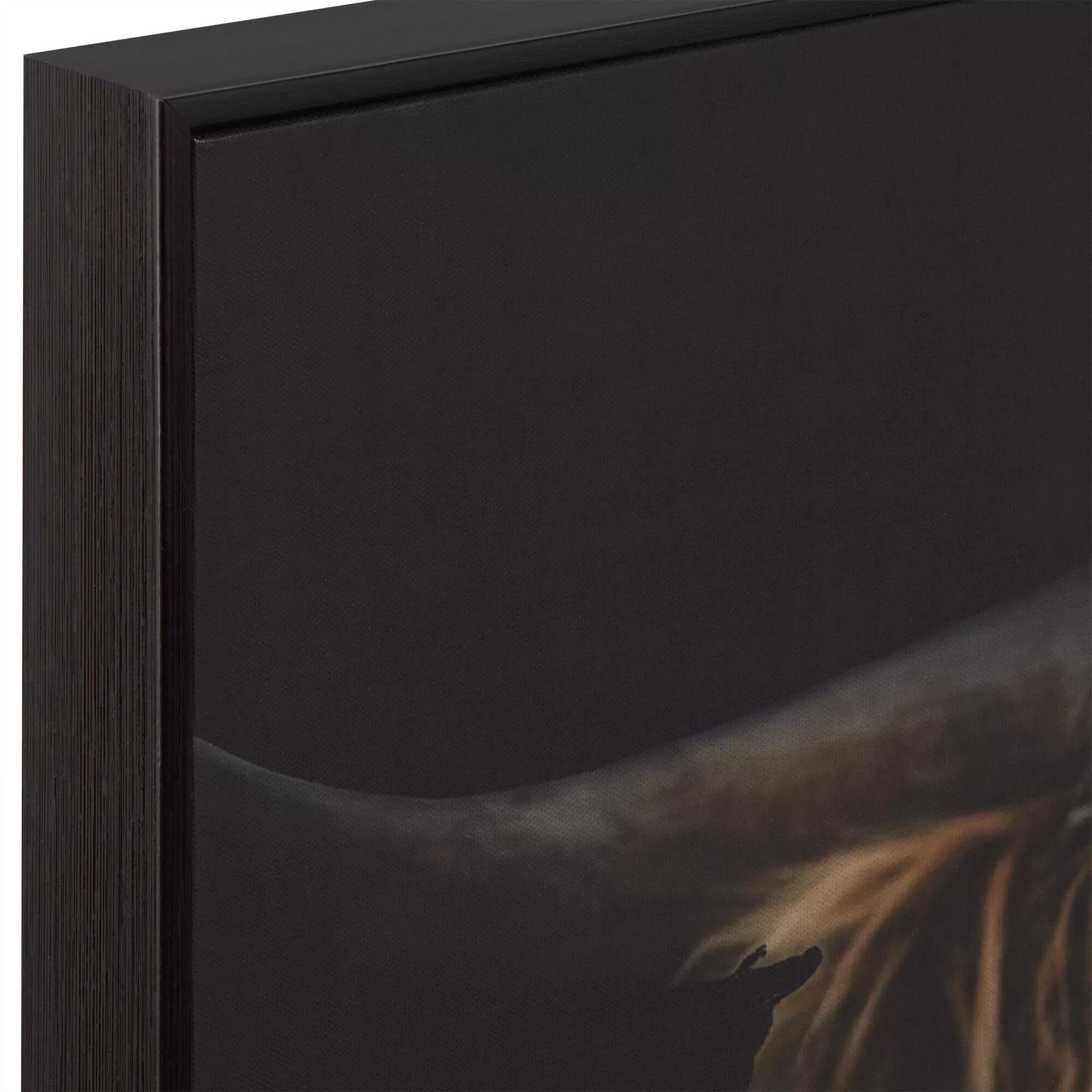 Scottish Highland Cattle Framed Printed Canvas