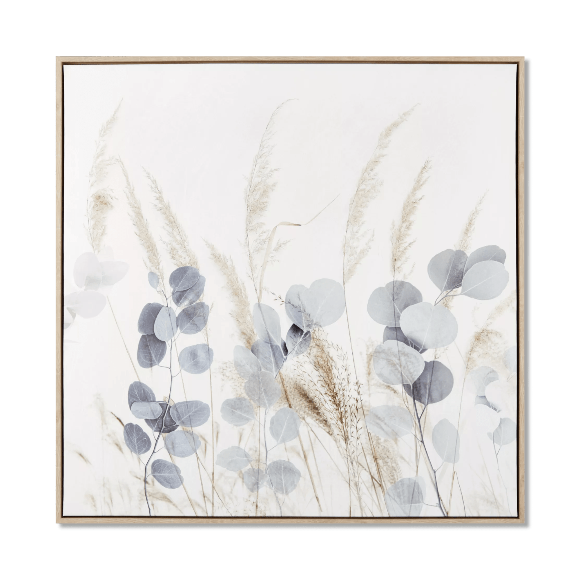 Framed Eucalyptus and Pampas