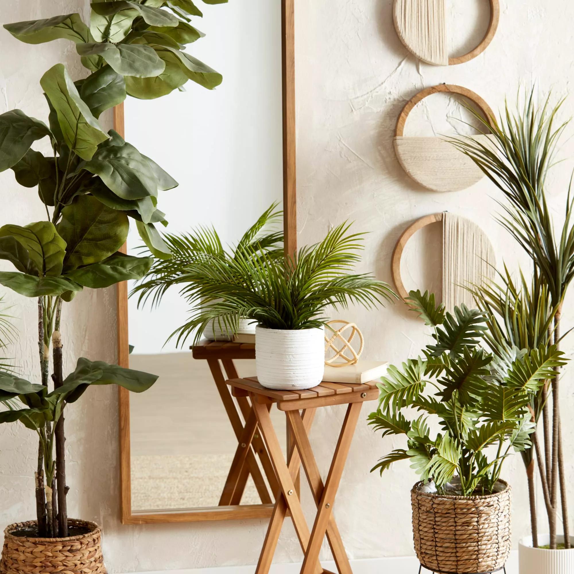 Set of 3 Mango Wood and Rope Circle Wall Decor