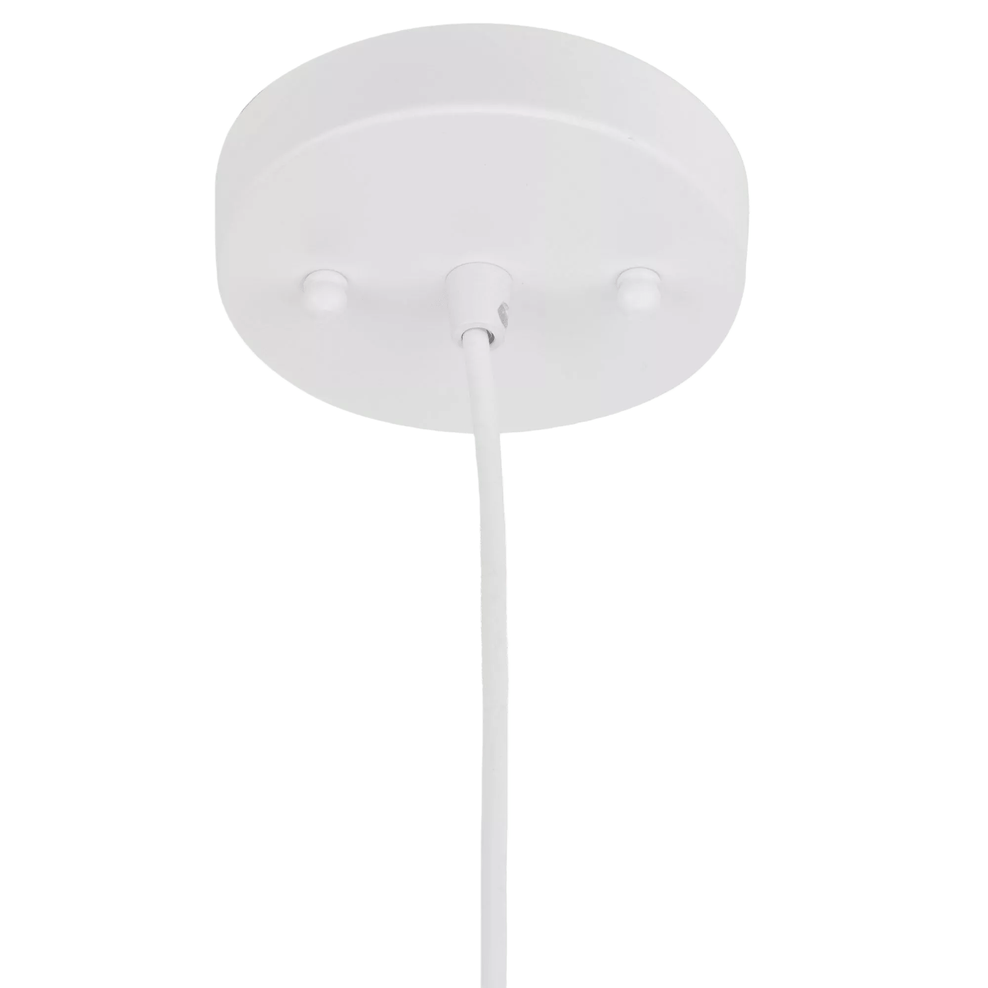 Rattan Natural Ceiling Lamp