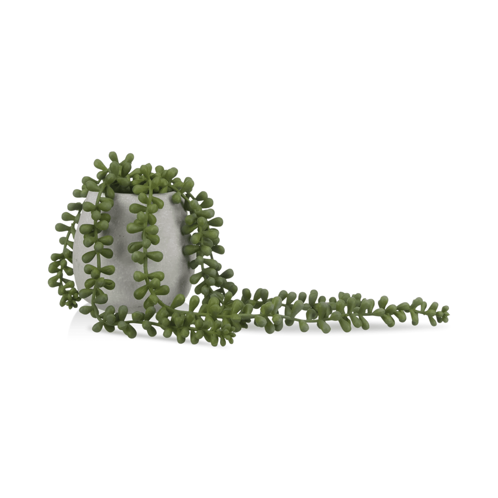 Waterfall Plant in Cement Pot