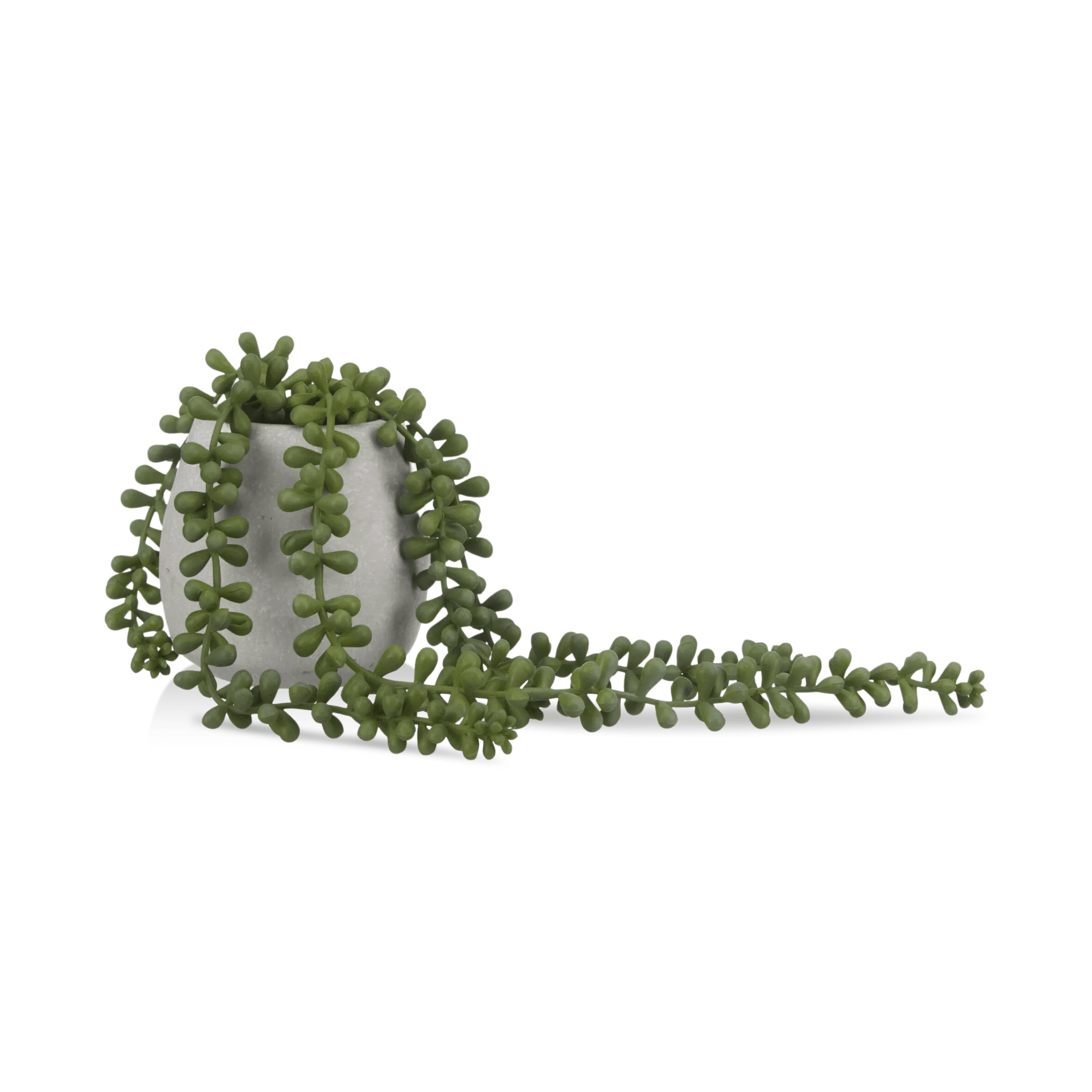 Waterfall Plant in Cement Pot