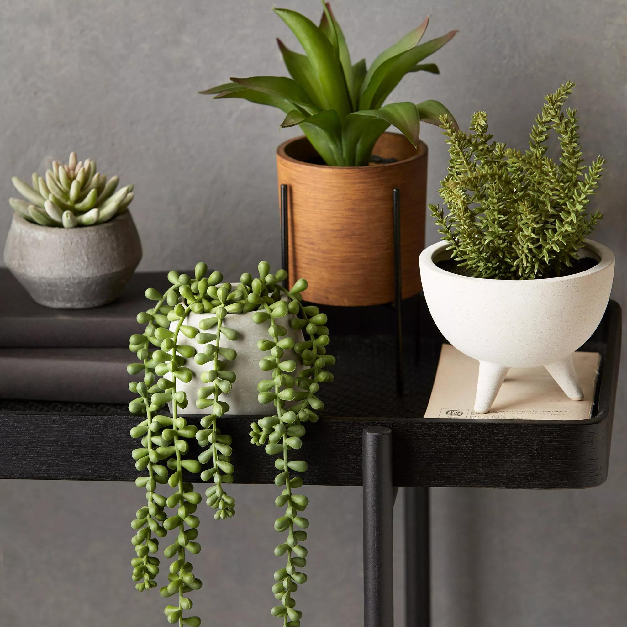 Waterfall Plant in Cement Pot