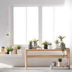 Waterfall Plant in Cement Pot